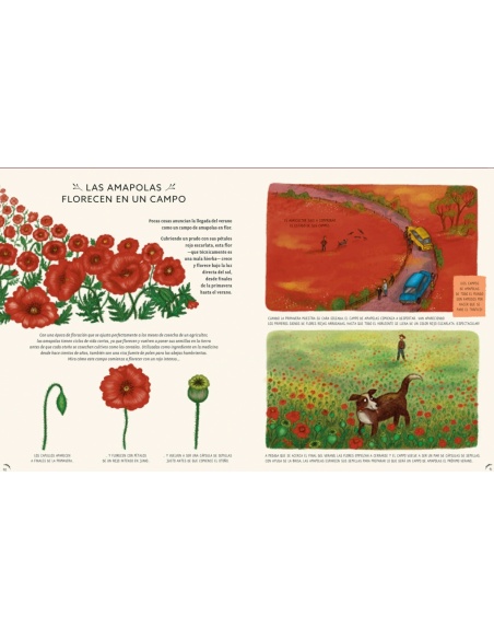 CON CALMA: 50 HISTORIAS DE LA NATURALEZA