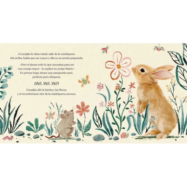 BUENAS NOCHES, CONEJITA