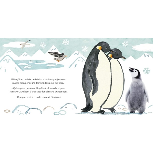 BONA NIT, PINGÜINET