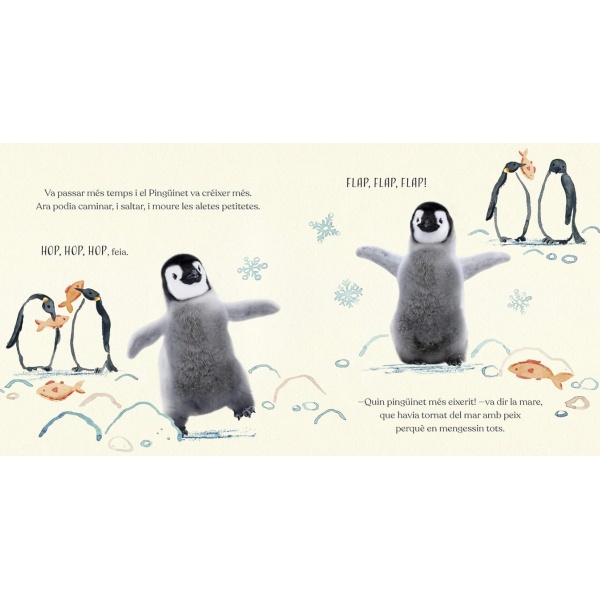 BONA NIT, PINGÜINET