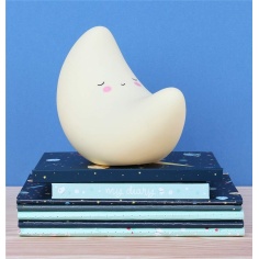 LUZ DE COMPAÑIA LUNA 2