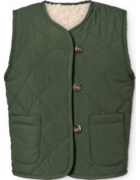 HOLLA DARK FOREST MOLO