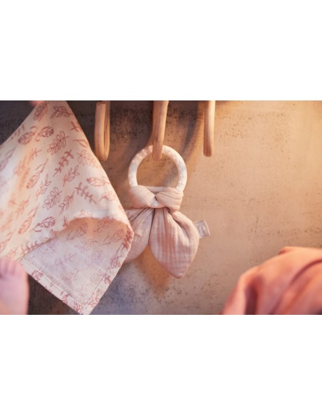 TEETHING RING BUNNY EARS