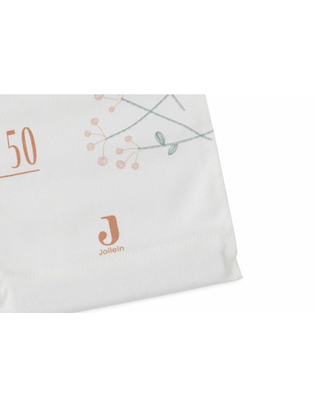 TABLA DE CRECIMIENTO LOVELY BIRDS