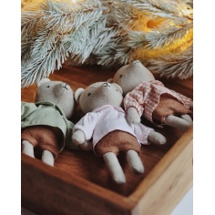 MINI TEDDY QUBASHI 2