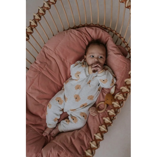 BABY ONESIE DOG SPROET AND SPROUT