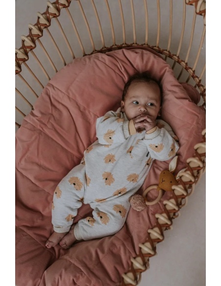 BABY ONESIE DOG SPROET AND SPROUT