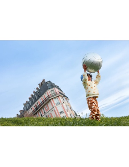 TEDDY ZIP DOG SPROET AND SPROUT