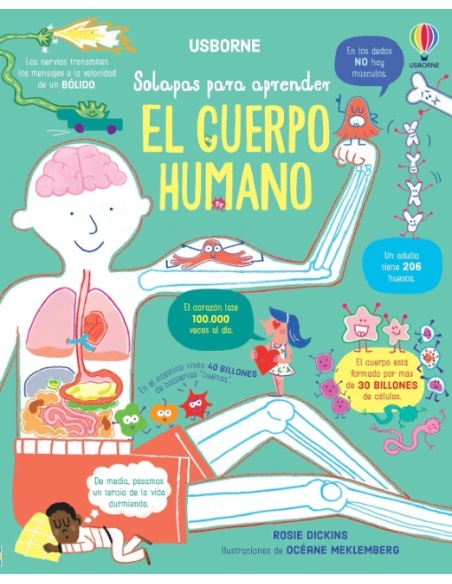 EL CUERPO HUMANO