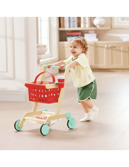 CARRITO Y CESTA DEL PEQUEÑO COMPRADOR