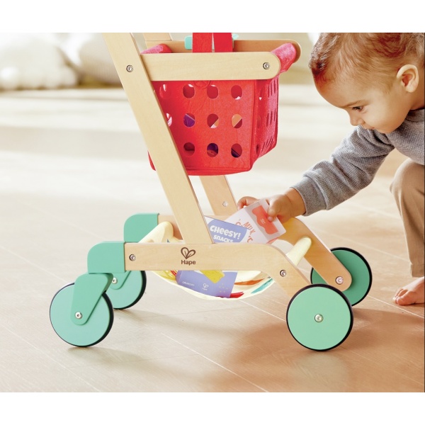 CARRITO Y CESTA DEL PEQUEÑO COMPRADOR