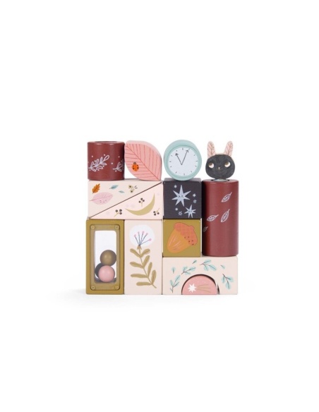 CUBOS ACTIVIDADES MOULIN ROTY