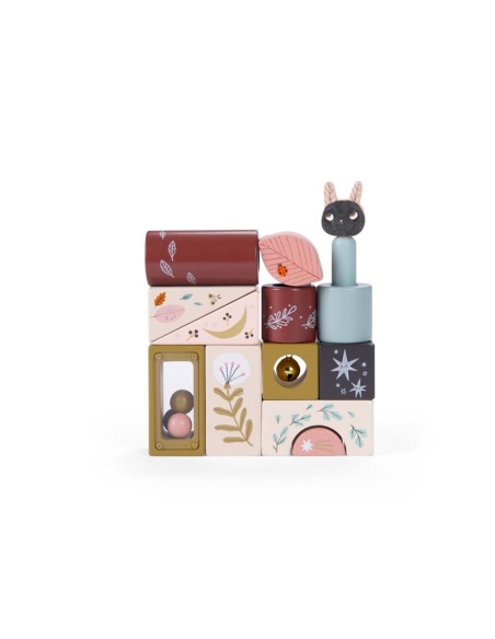 CUBOS ACTIVIDADES MOULIN ROTY