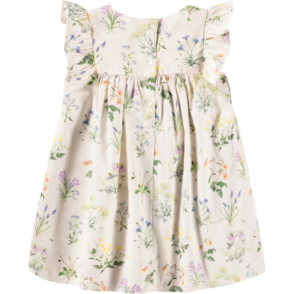 Cacao PRIMAVERA MOLO BEBE