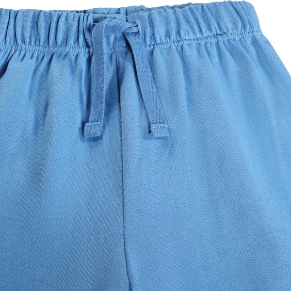 Simeon Blue Tide MOLO