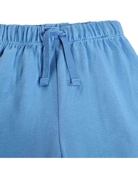 Simeon Blue Tide MOLO